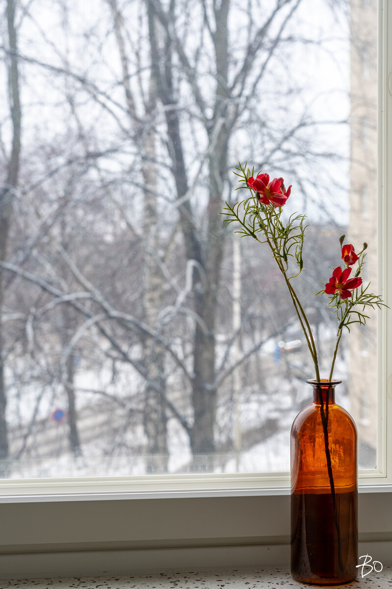 Parolantie 12 - bild 13