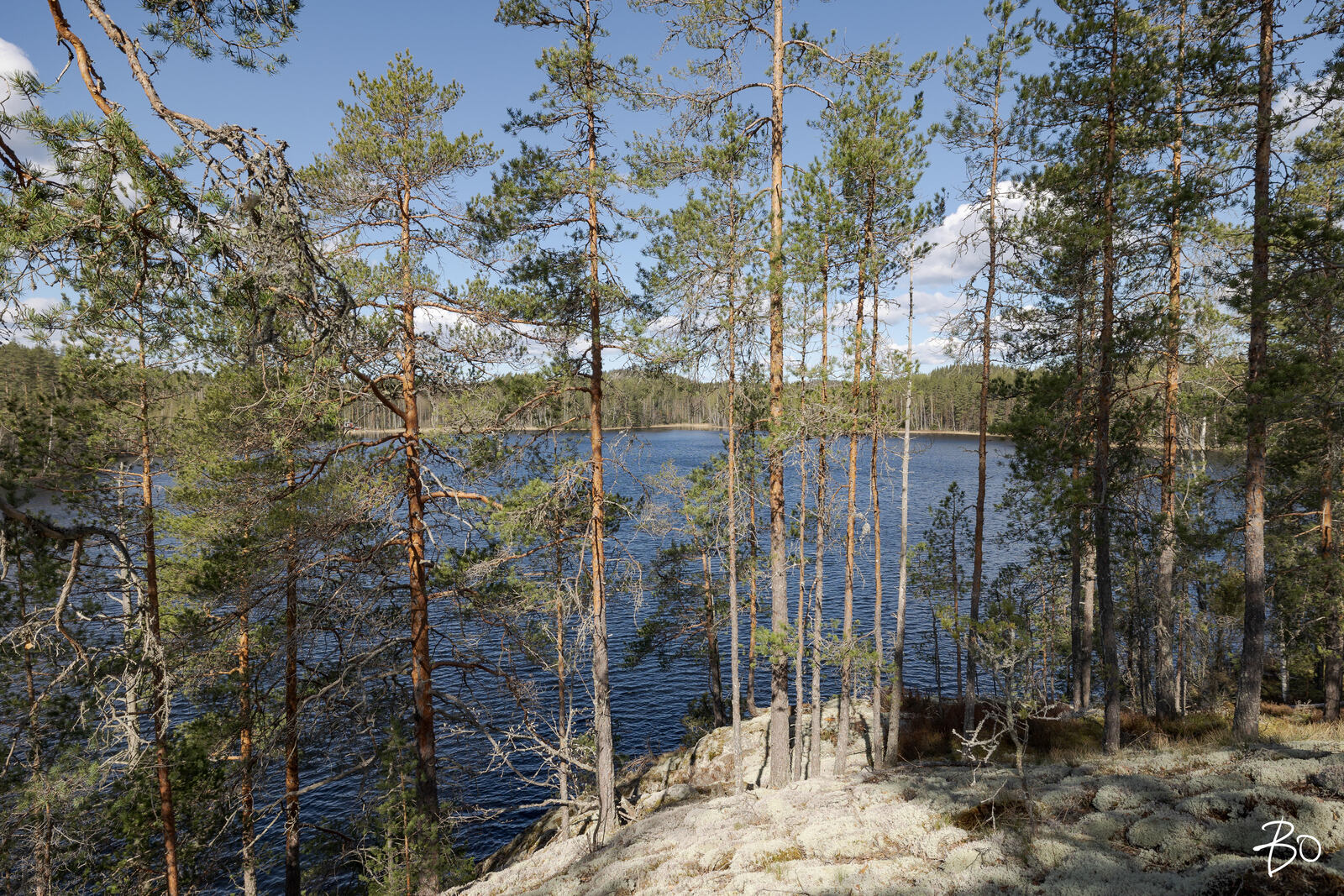 Vähä-Rihu  - bild 6