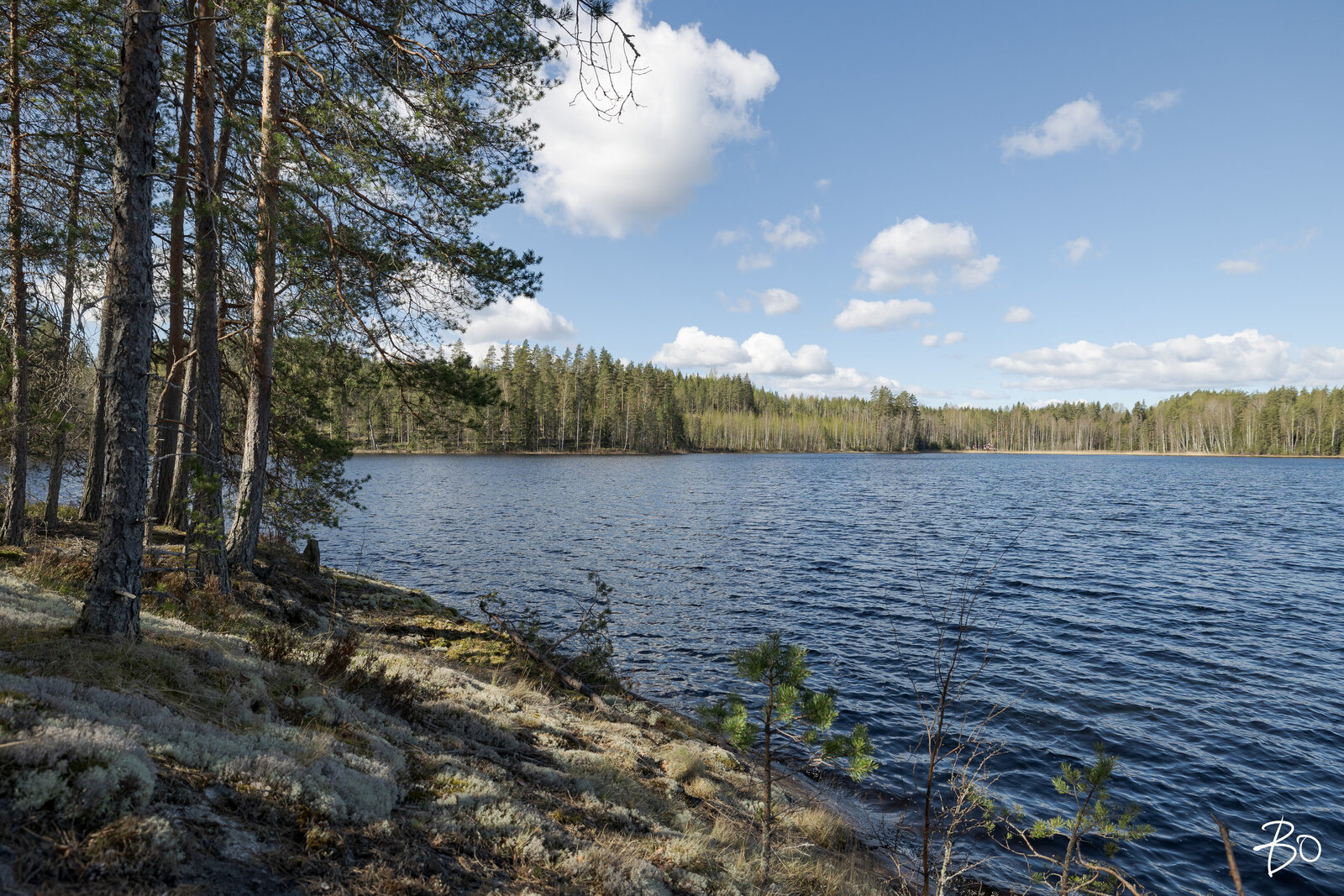 Vähä-Rihu  - bild 4