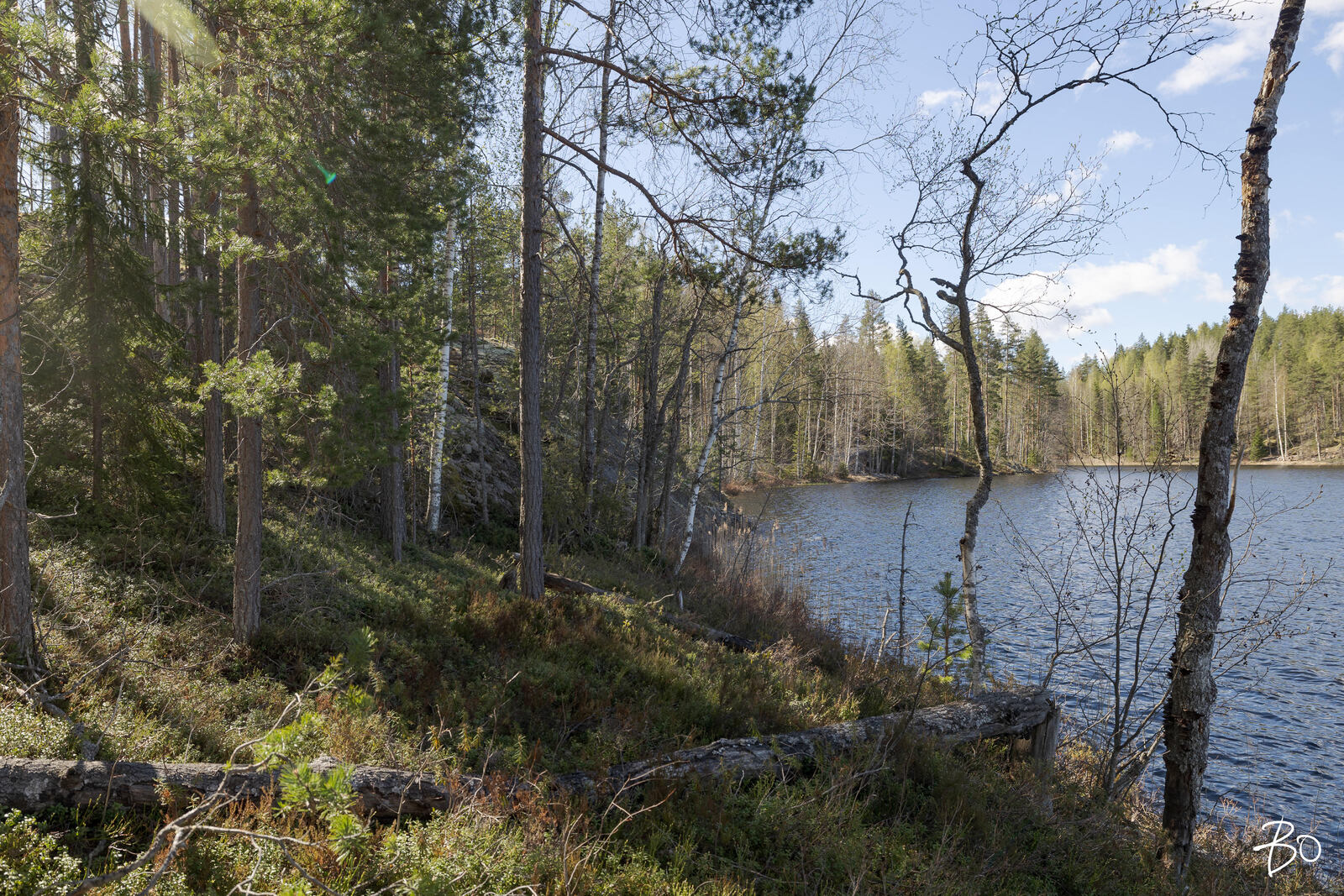 Vähä-Rihu  - bild 7