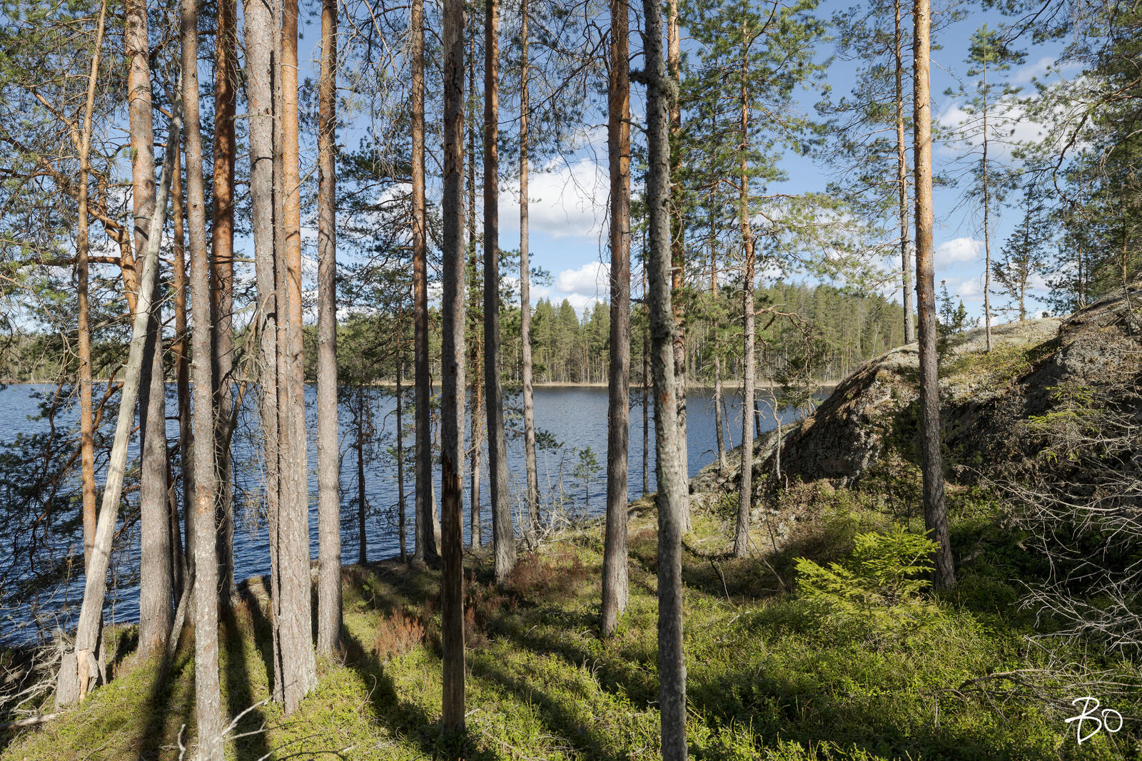 Vähä-Rihu  - bild 9