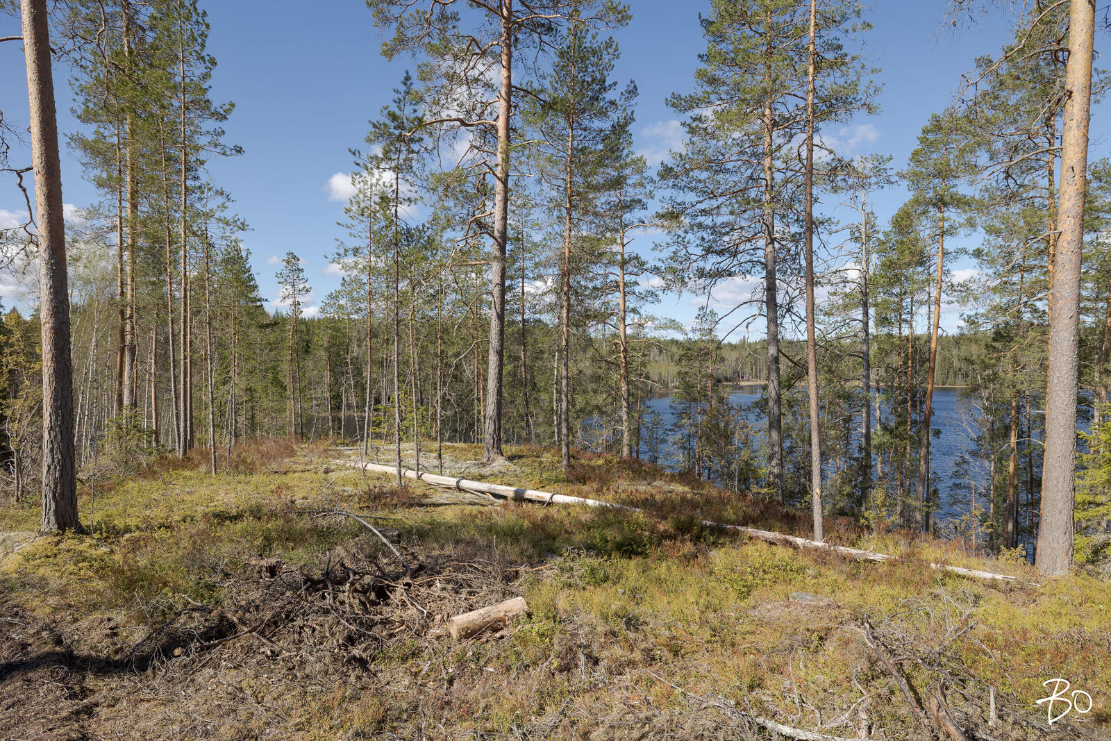Vähä-Rihu  - bild 12