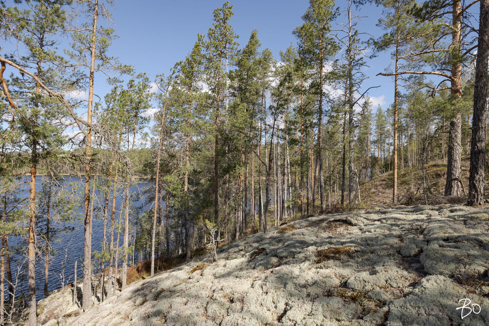 Vähä-Rihu  - bild 13