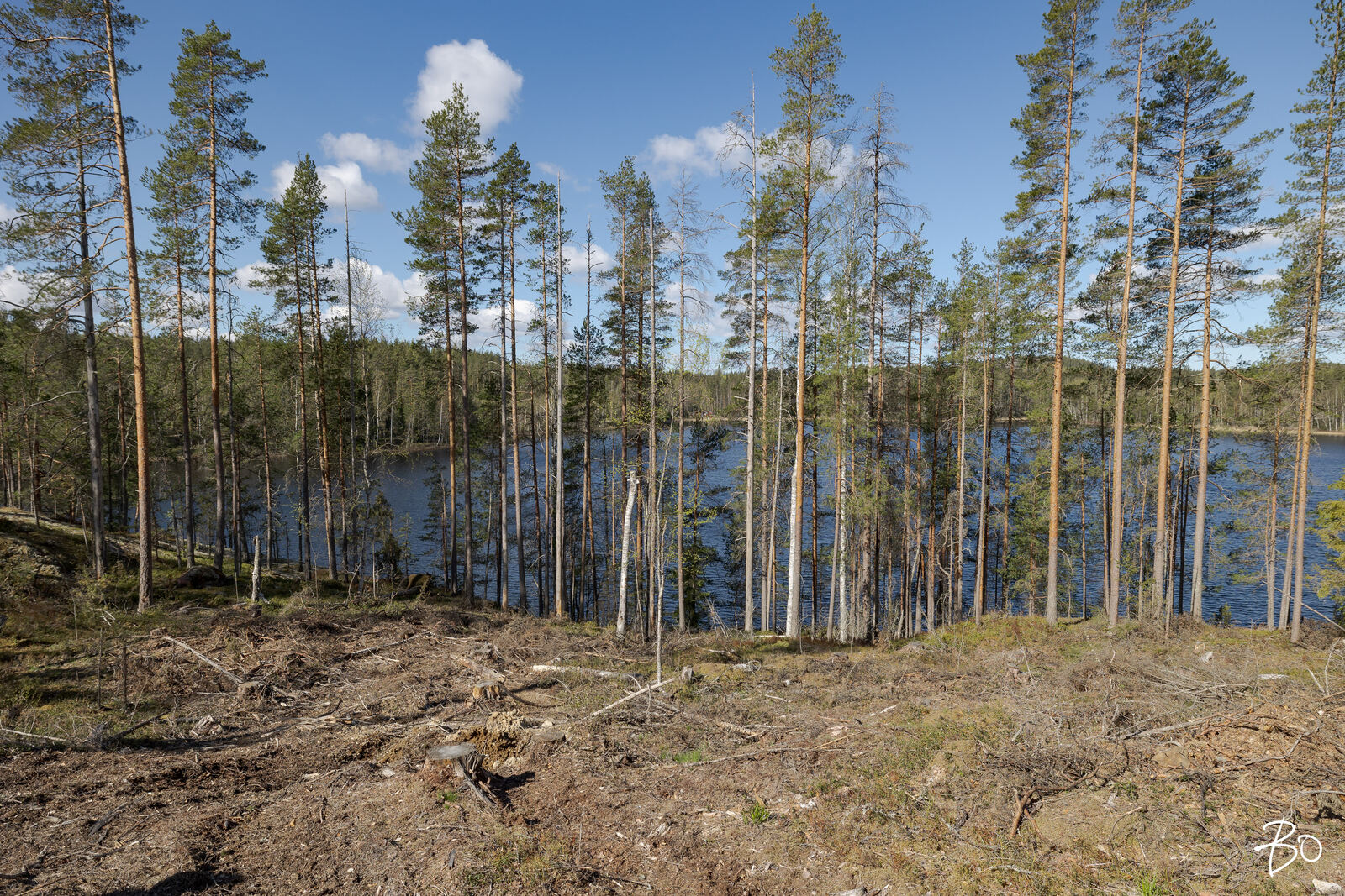 Vähä-Rihu  - bild 15