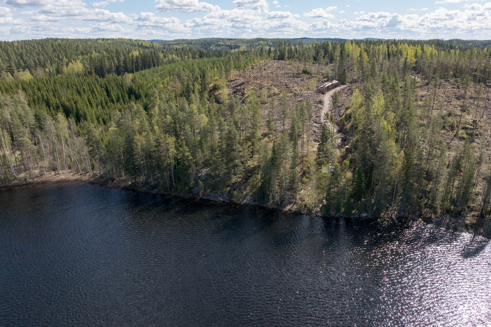 Vähä-Rihu 85 B  - bild 7