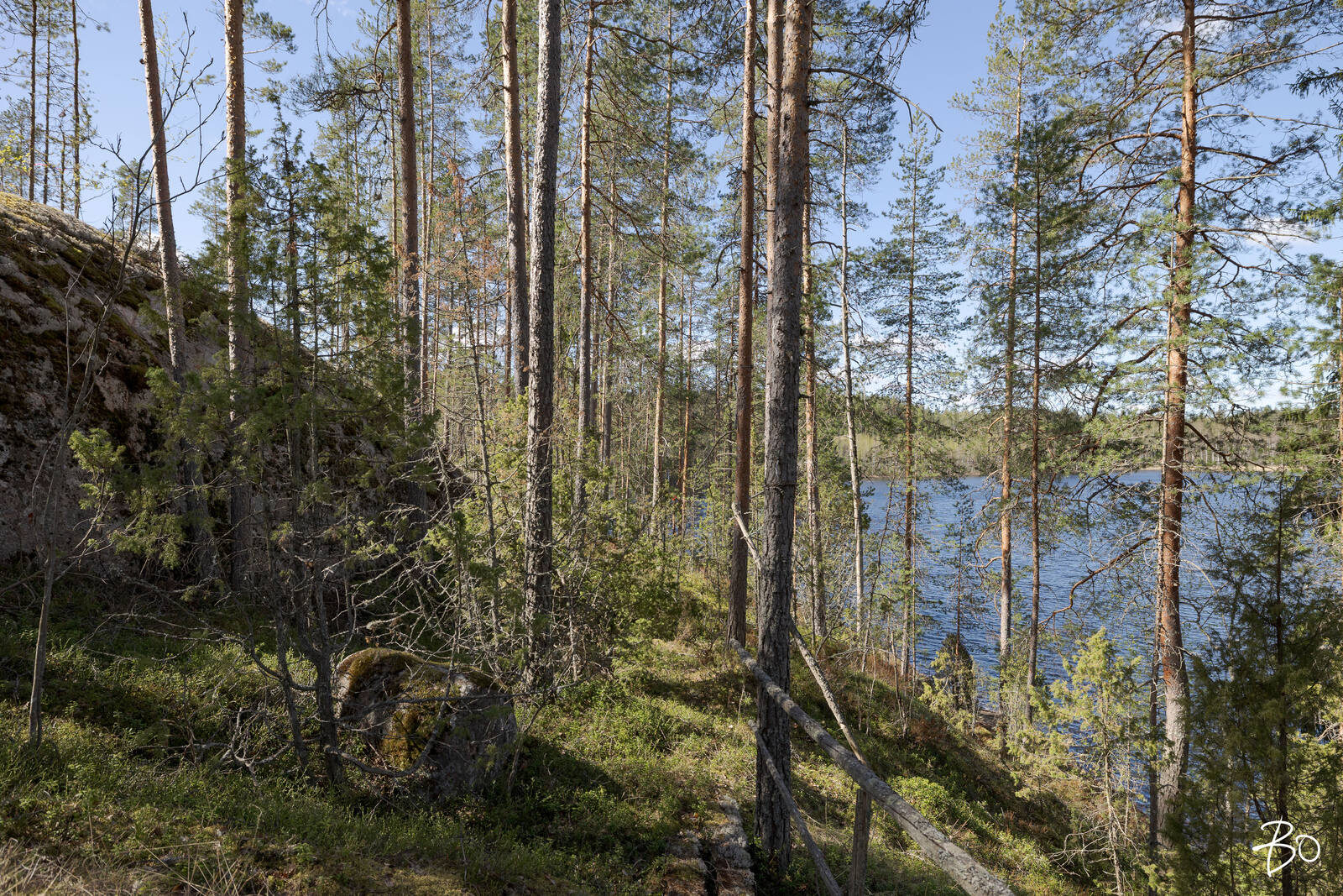 Vähä-Rihu 85 B  - bild 13