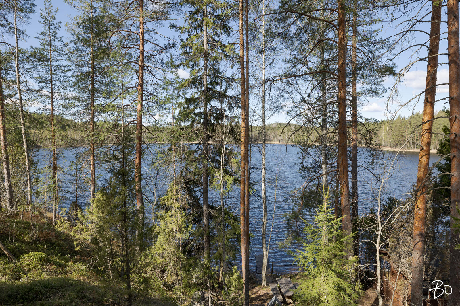 Vähä-Rihu 85 B  - bild 14