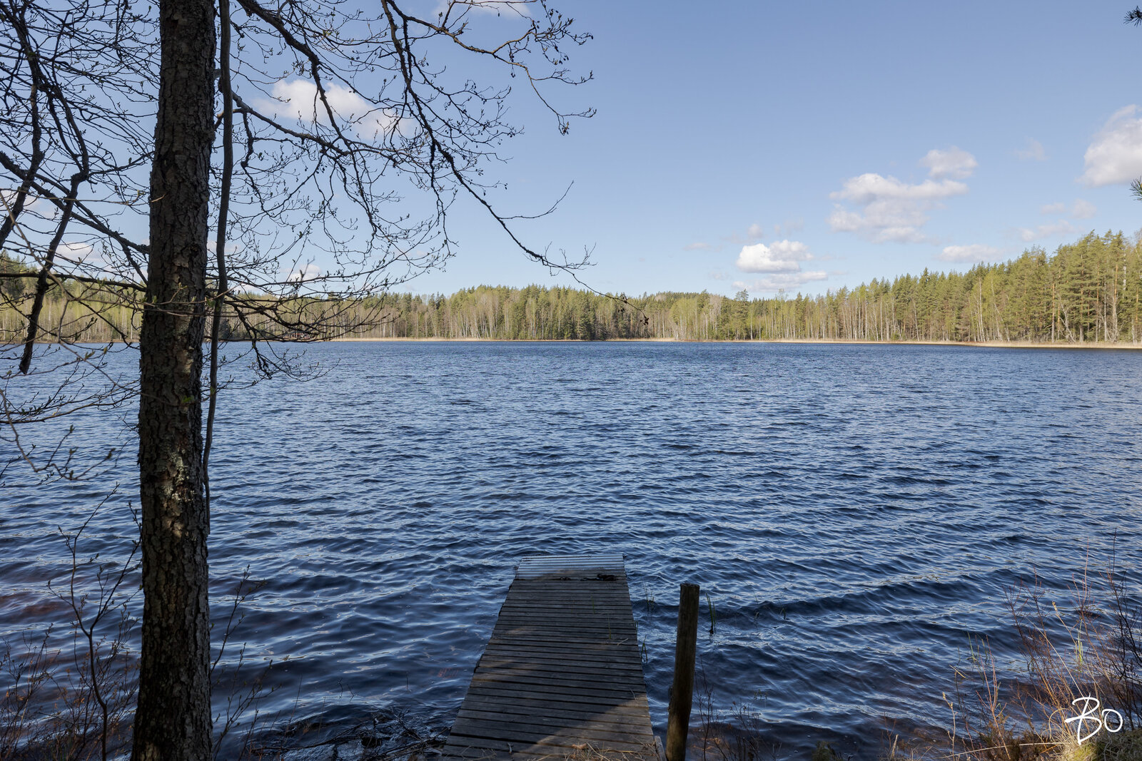 Vähä-Rihu 85 B  - bild 20