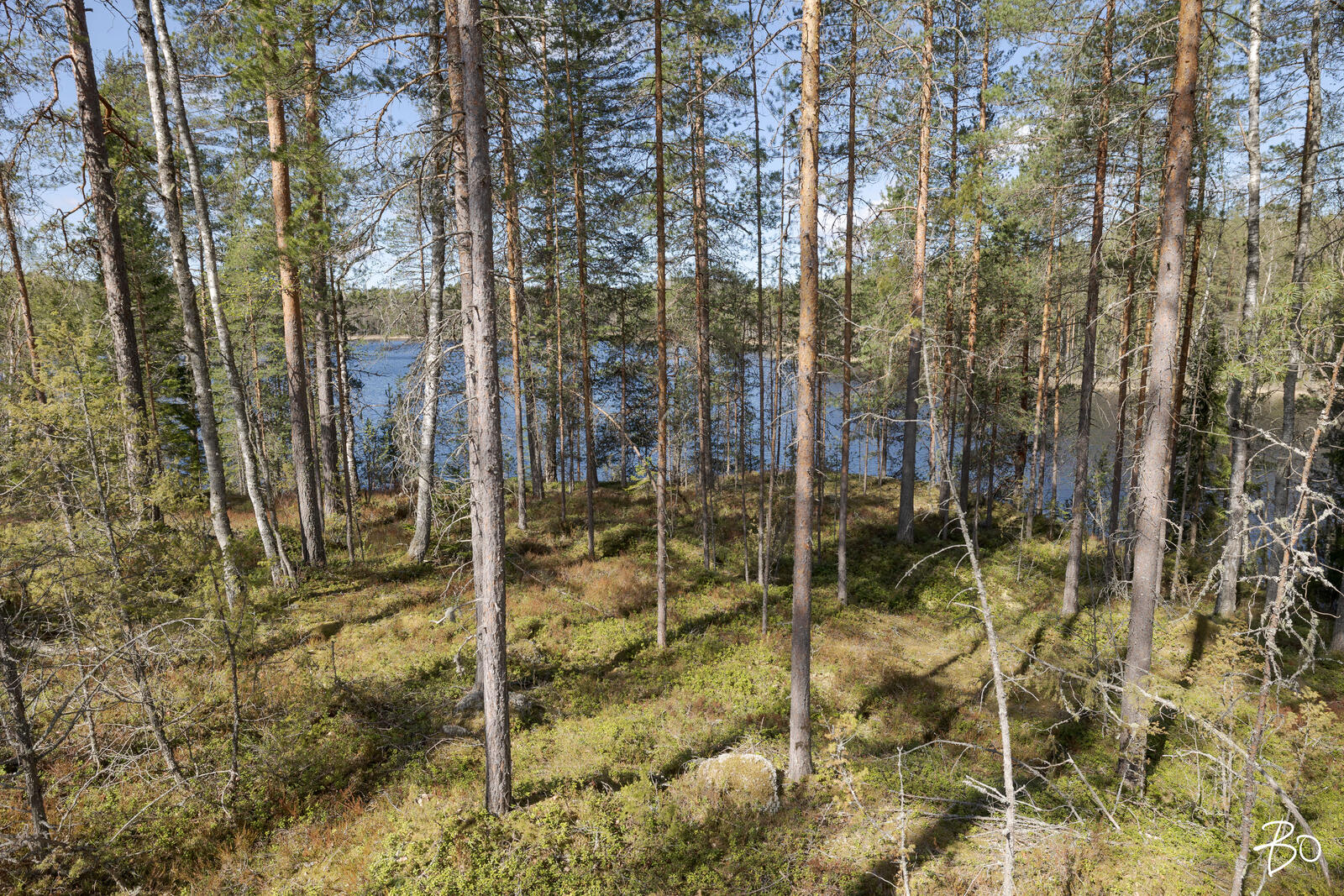 Vähä-Rihu 85 B  - bild 25