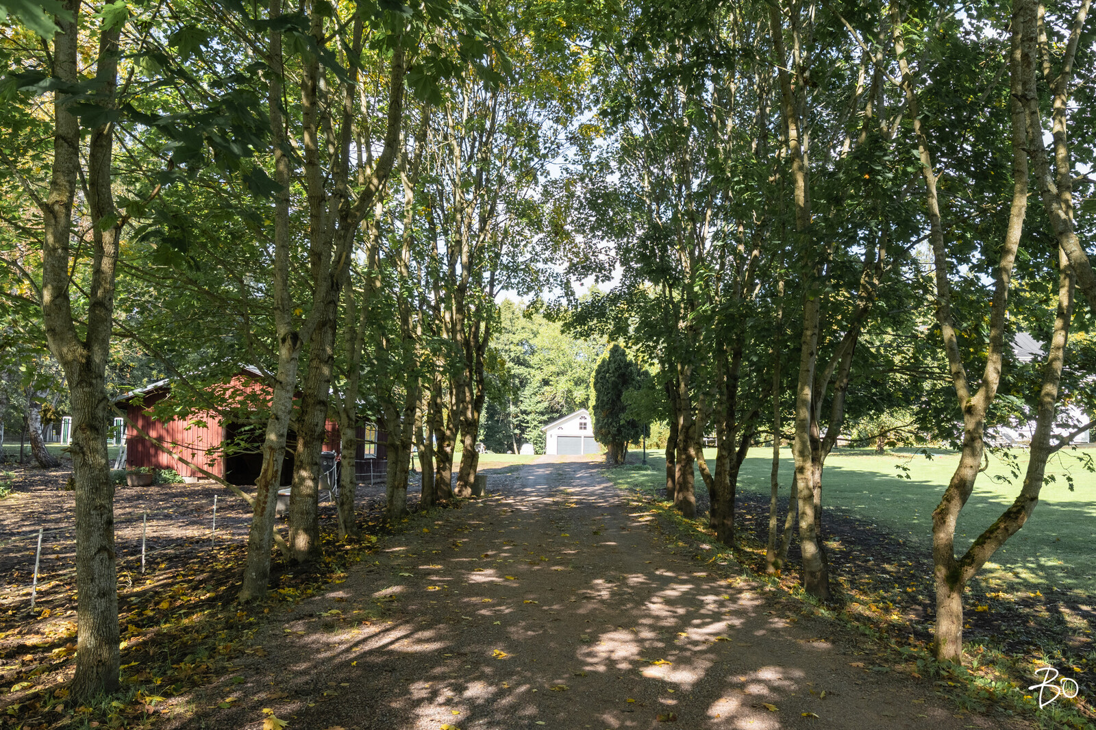 Setranmäki 6 - kuva 42