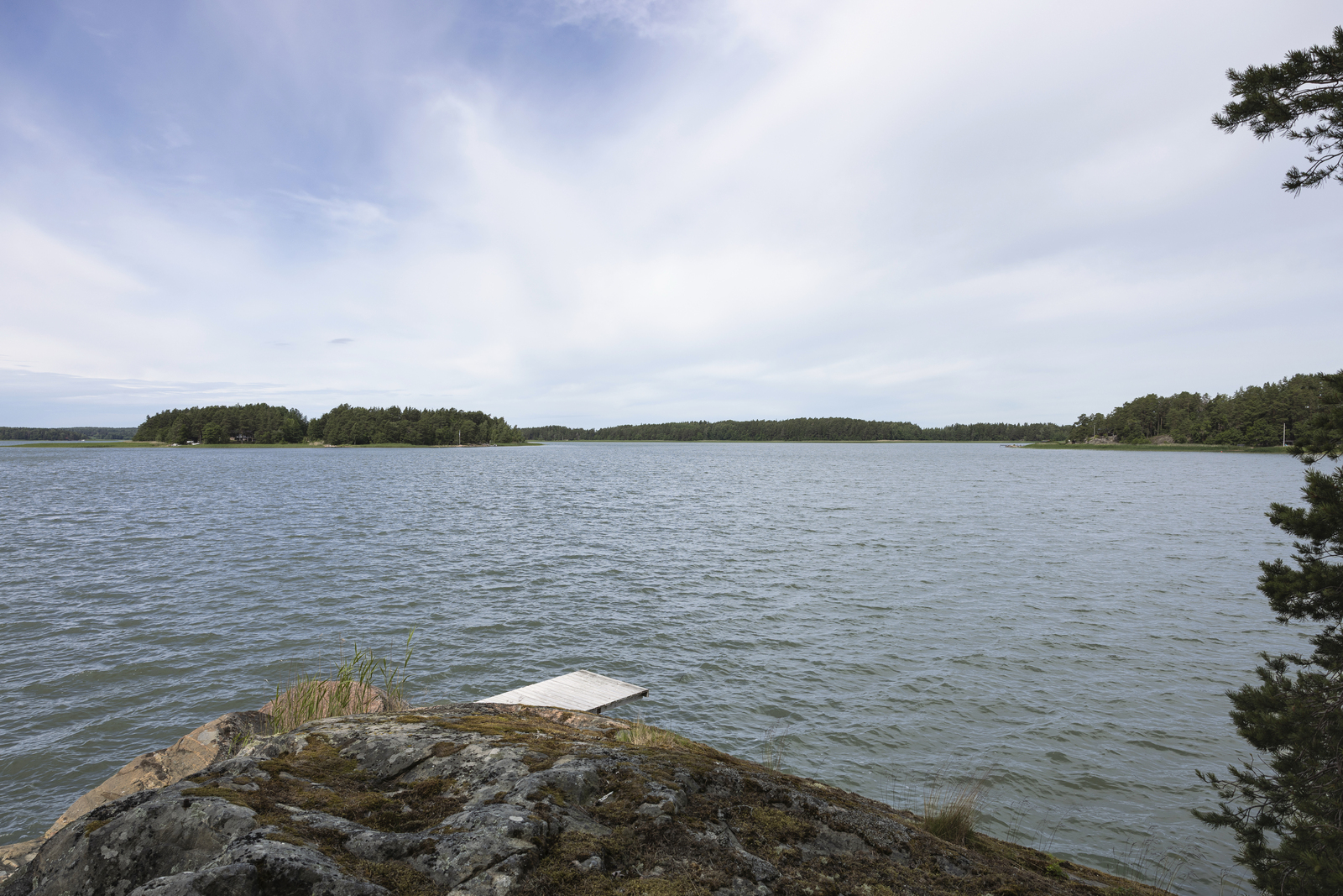 Image 49