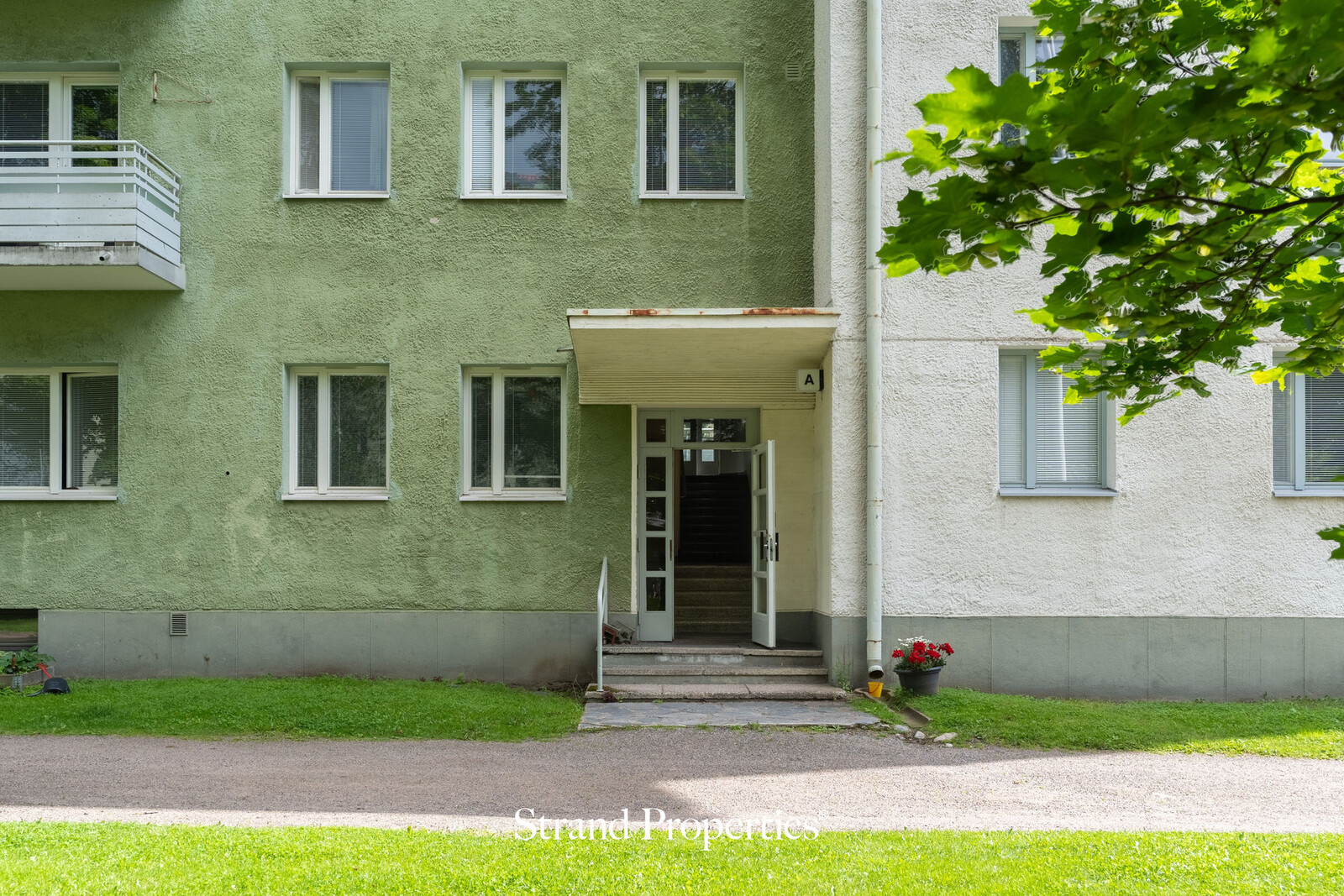 Image 15