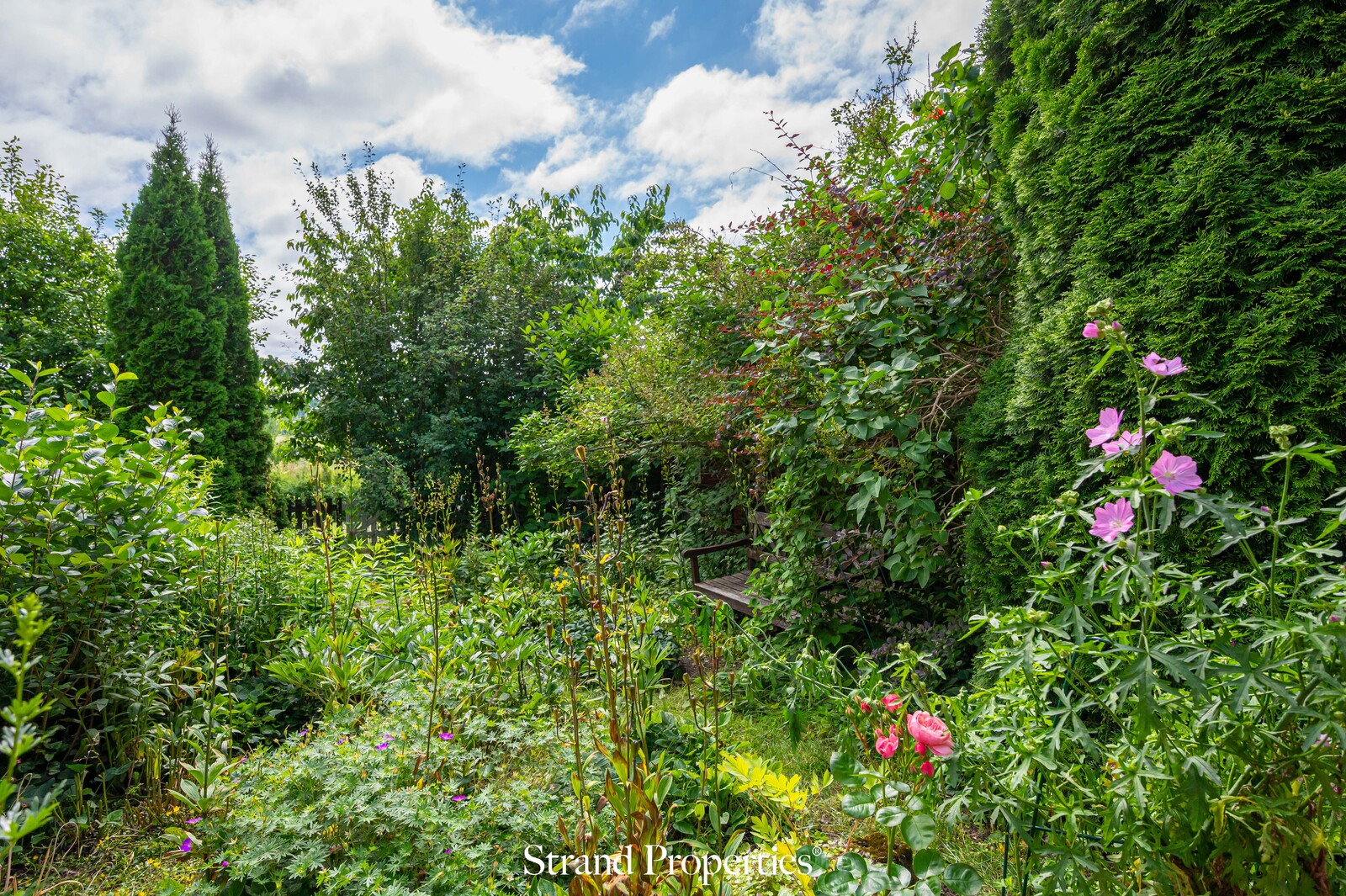 Image 17