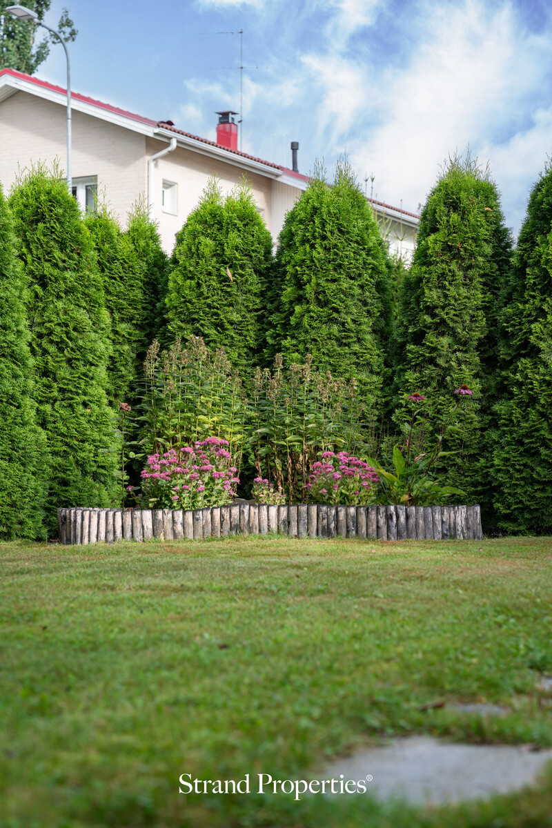 Image 26