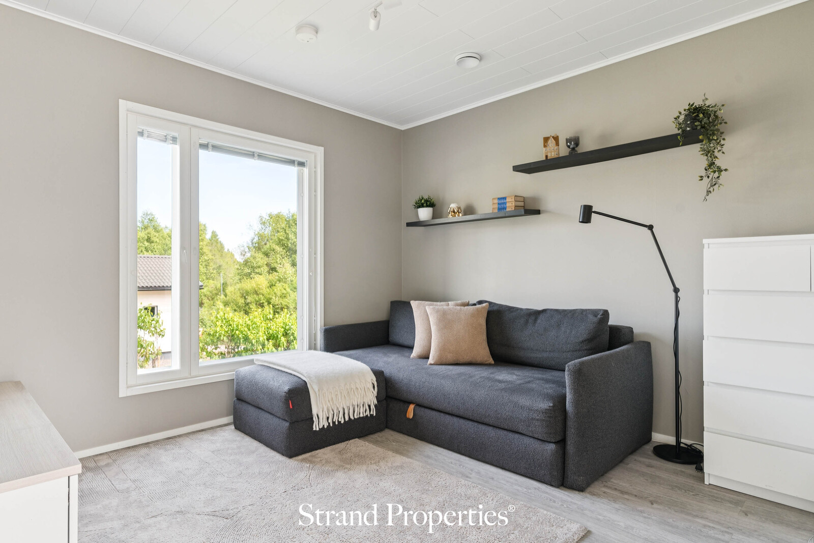 Image 15