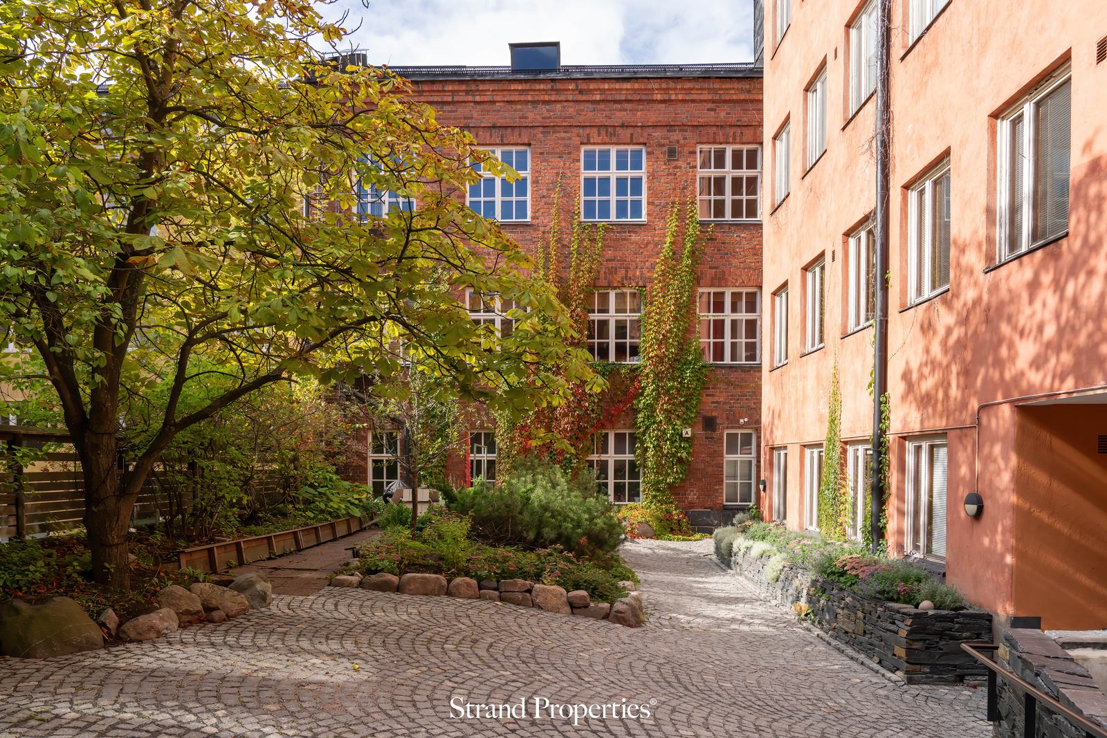 Image 25