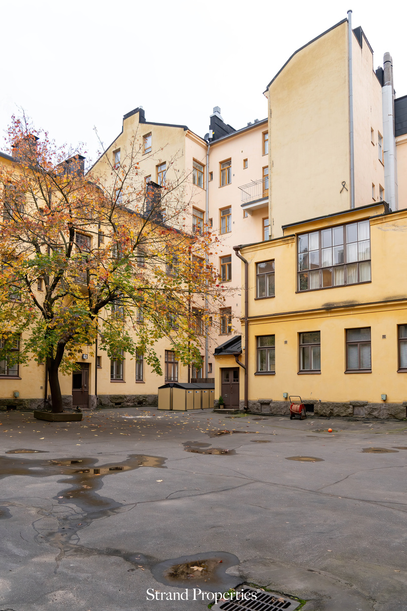 Image 33
