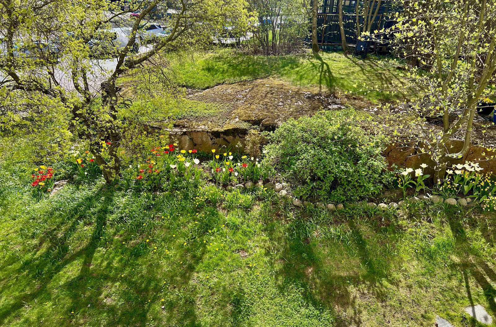 Image 25