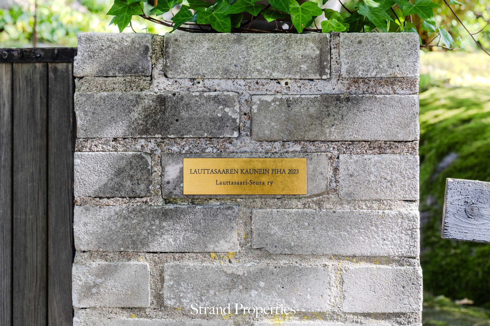 Image 29