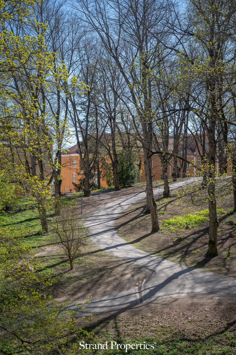 Image 25
