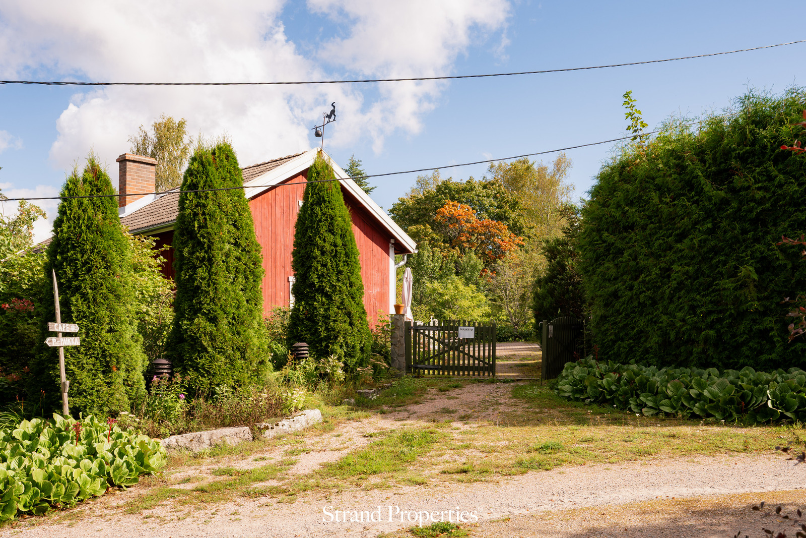 Image 43