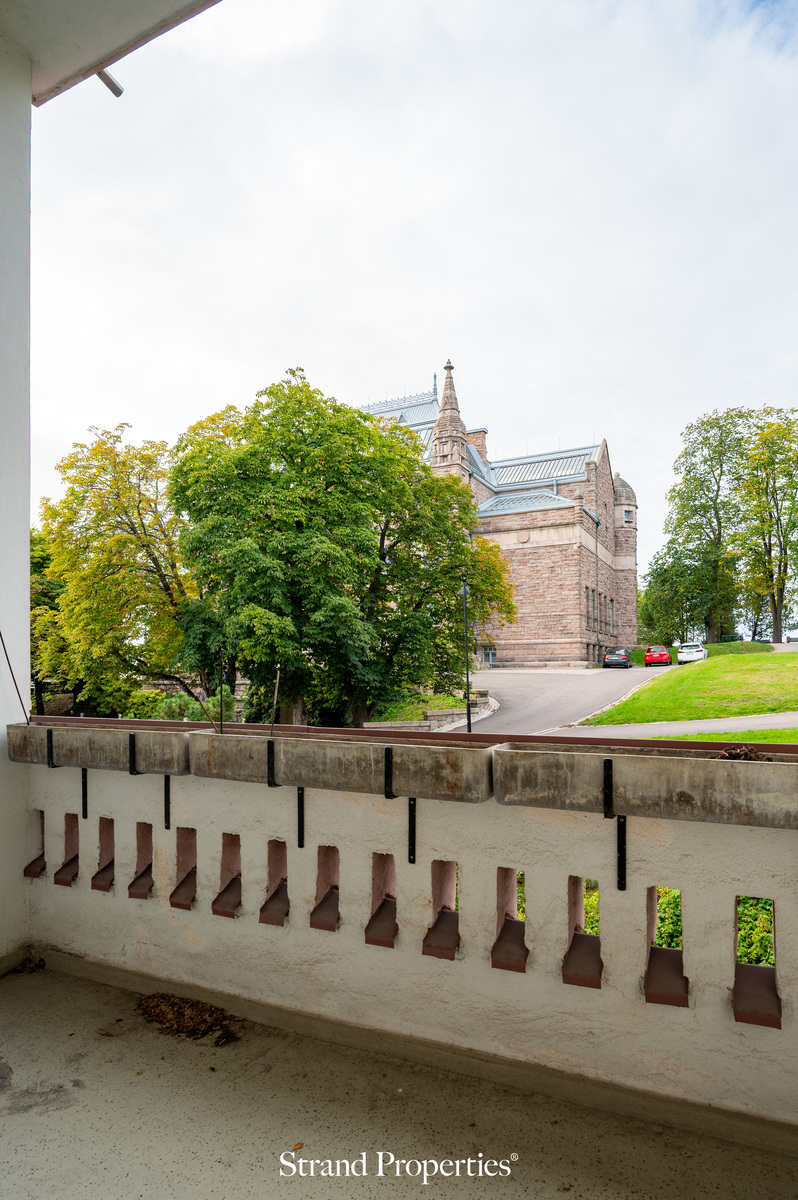 Image 12