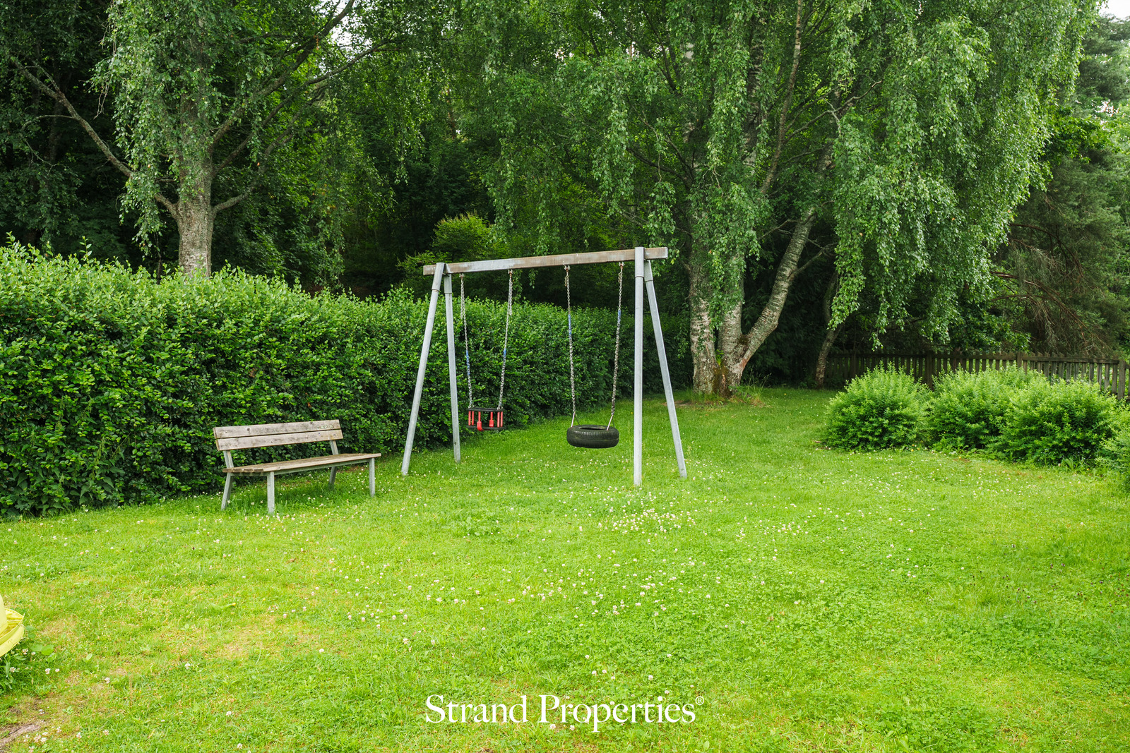 Image 29
