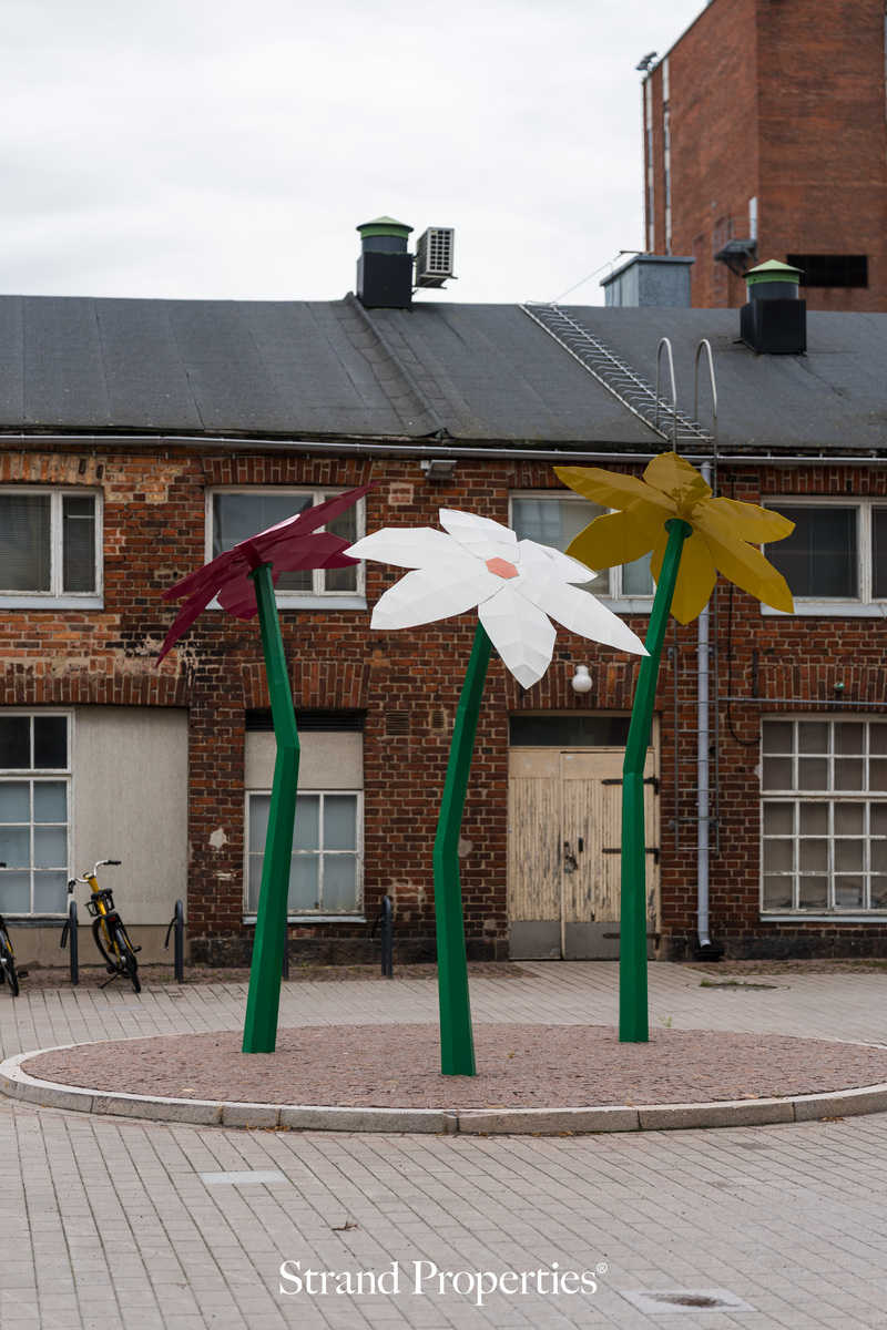 Image 23