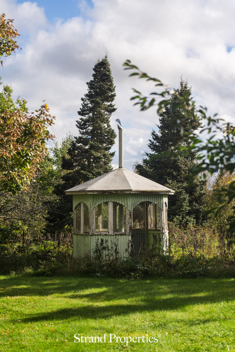 Image 29