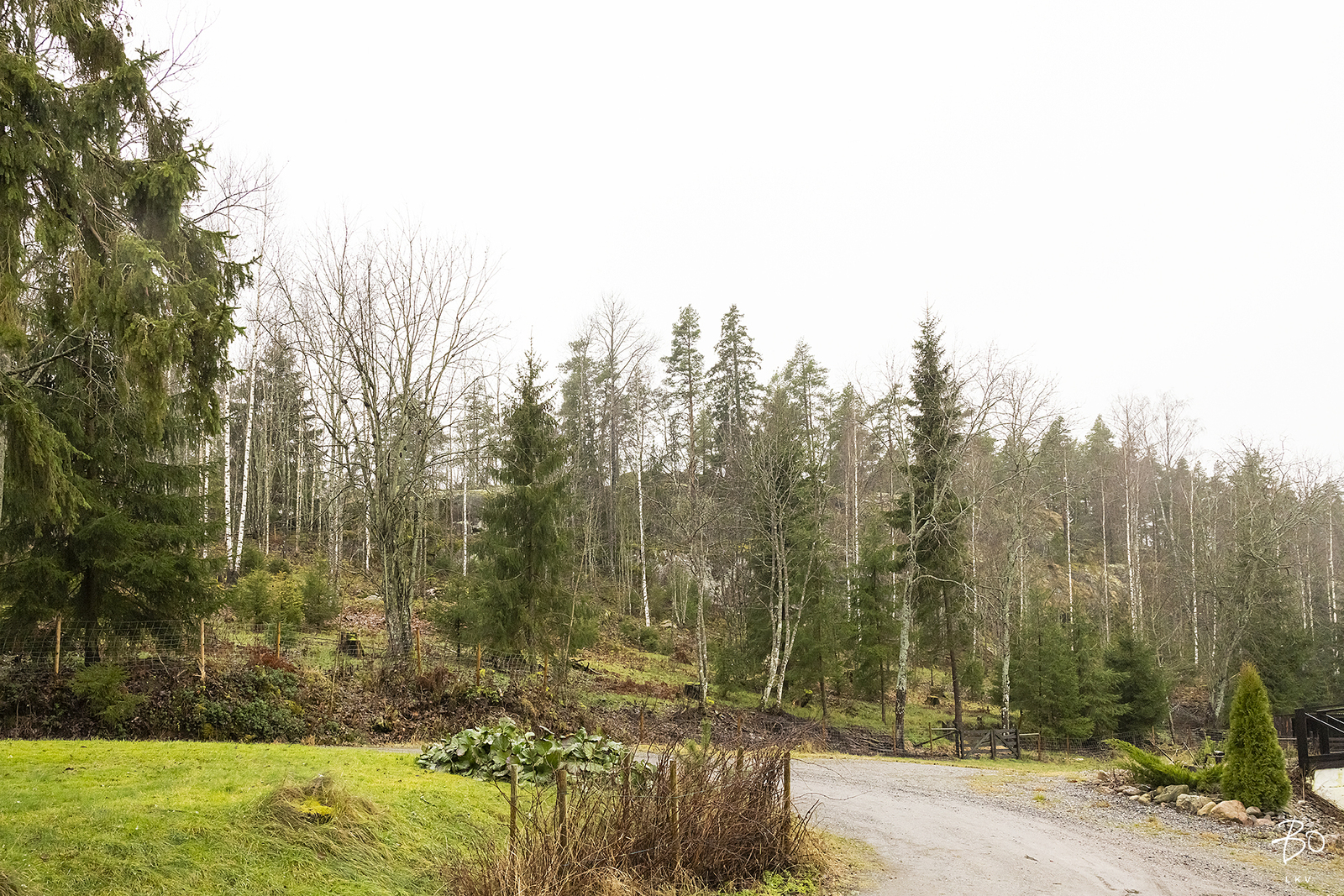 Suitiantie 251 - bild 43