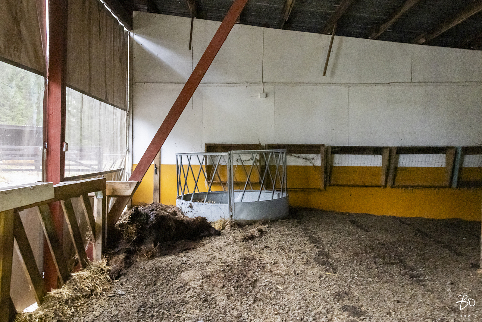 Suitiantie 251 - bild 40