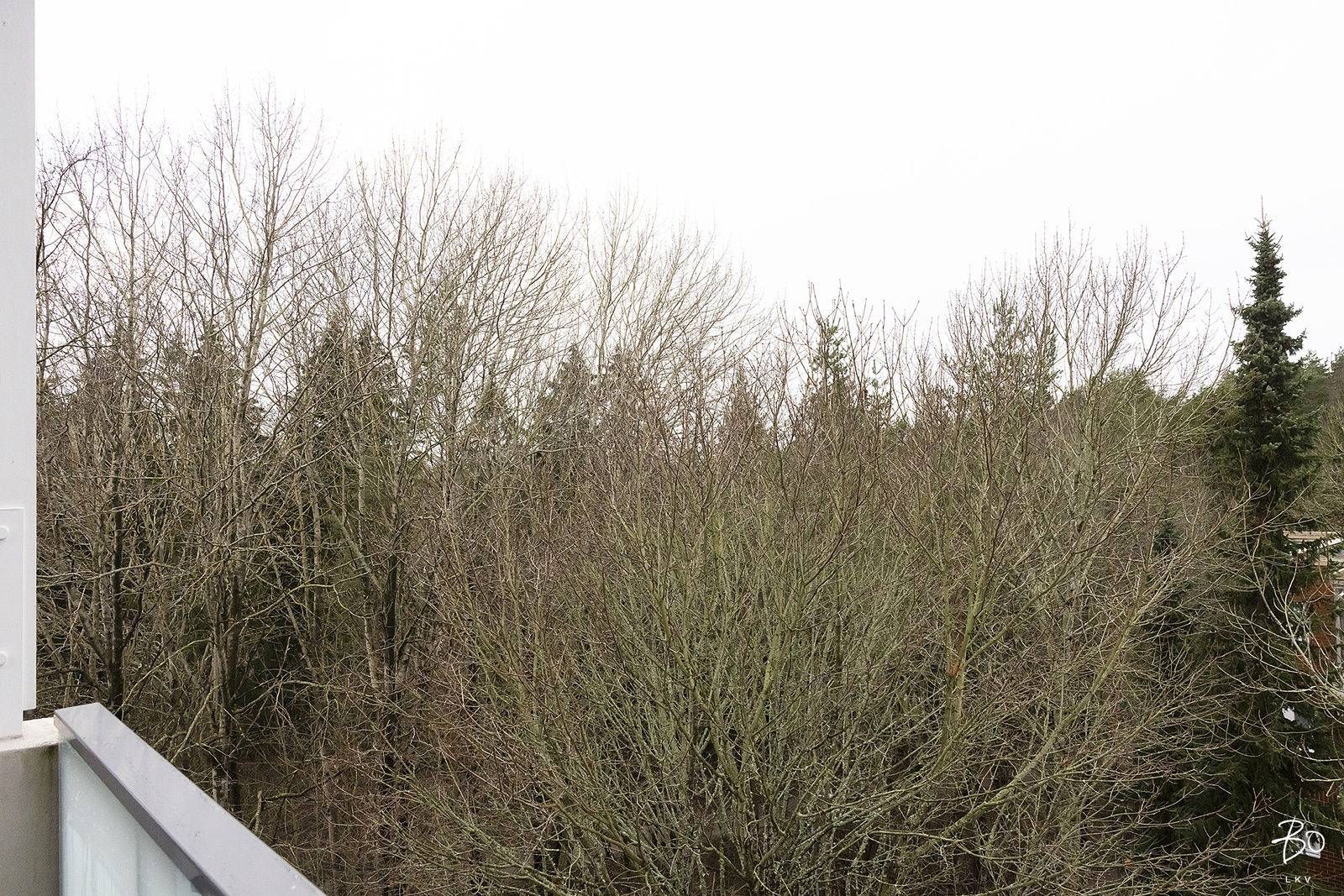 Rahakamarinkatu 2 - bild 18