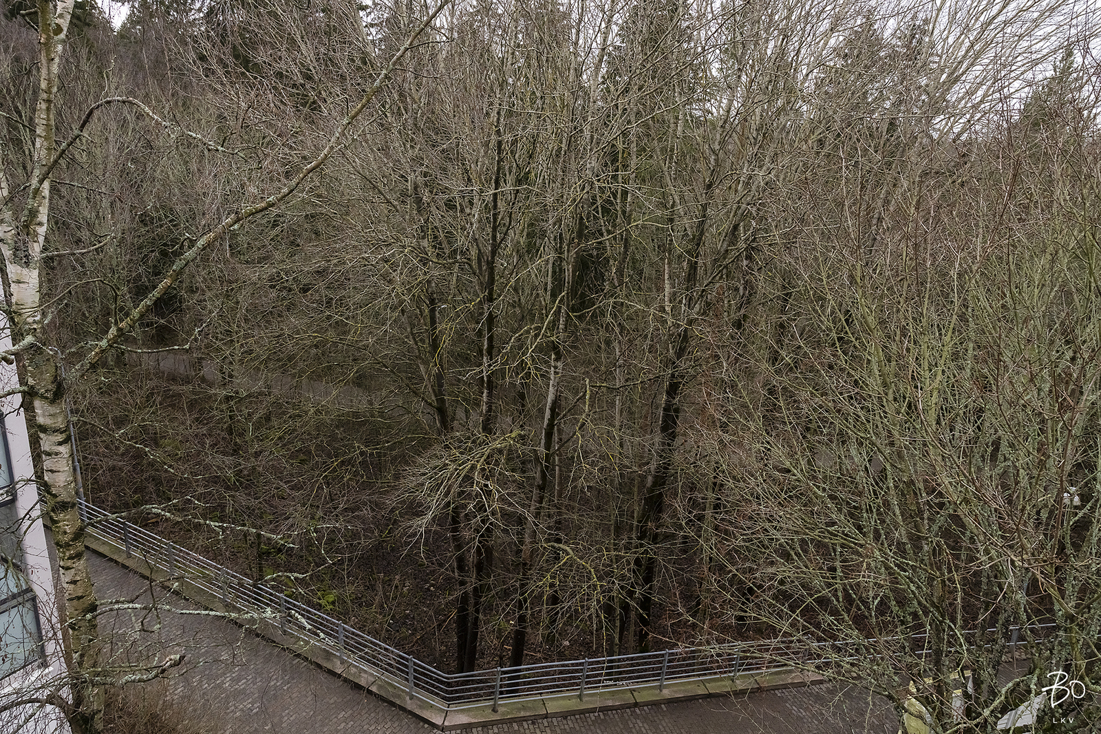 Rahakamarinkatu 2 - bild 19