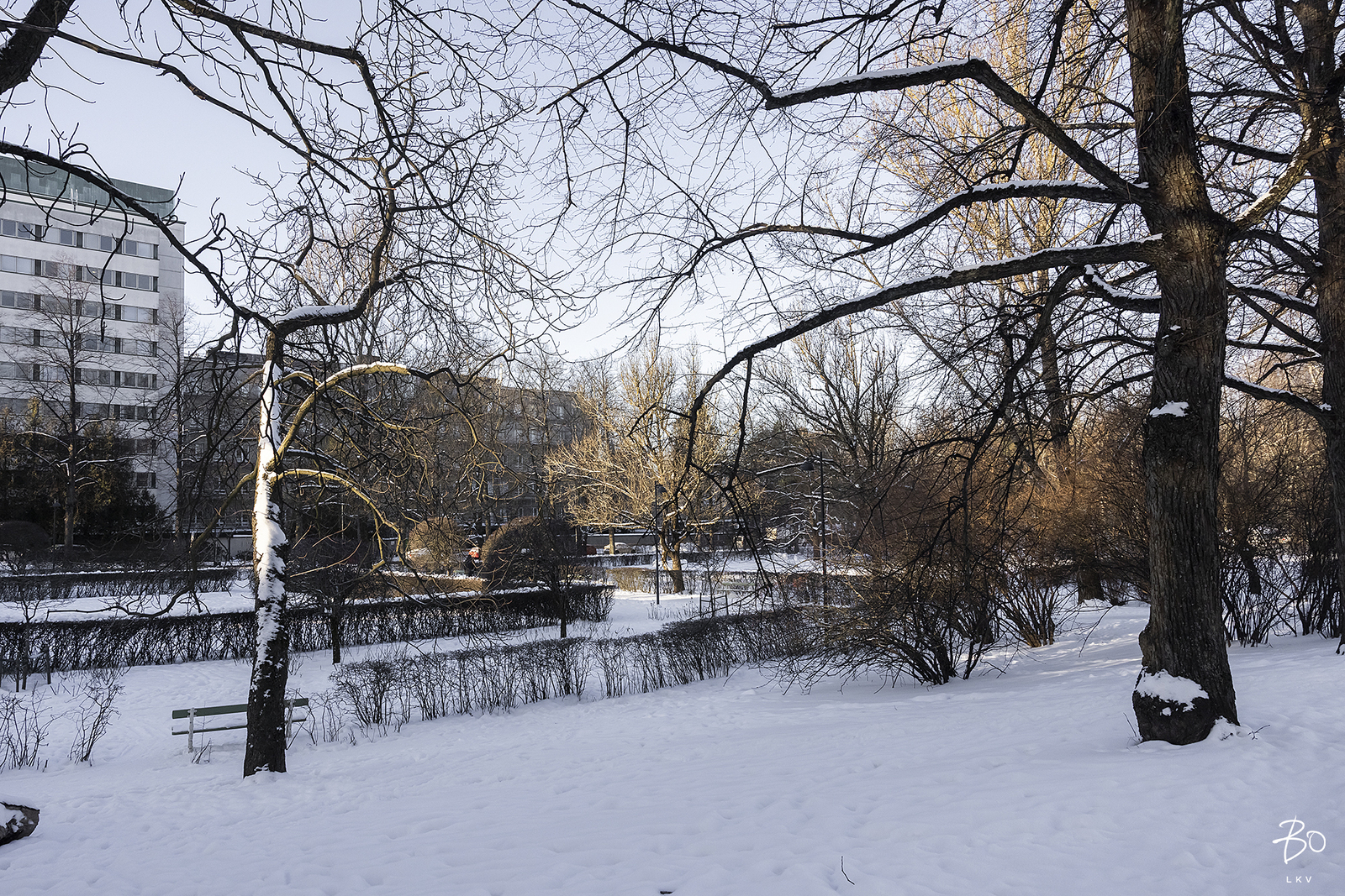 Topeliuksenkatu 3 - kuva 23