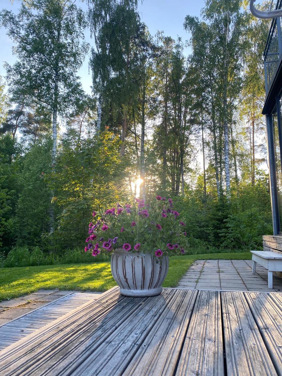 Lehmustie 26B - bild 31