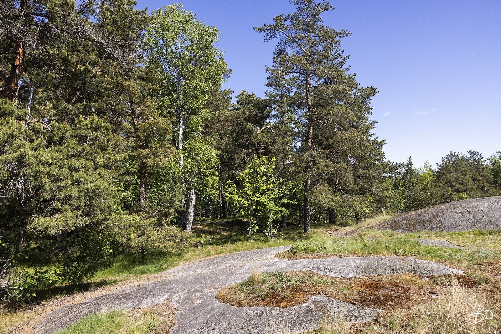 Kotikonnuntie 3 - kuva 28
