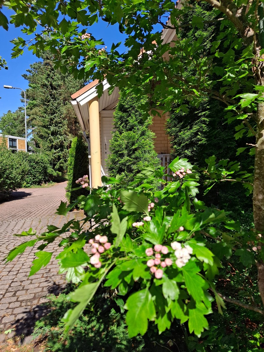 Nuottatie 8 - kuva 39