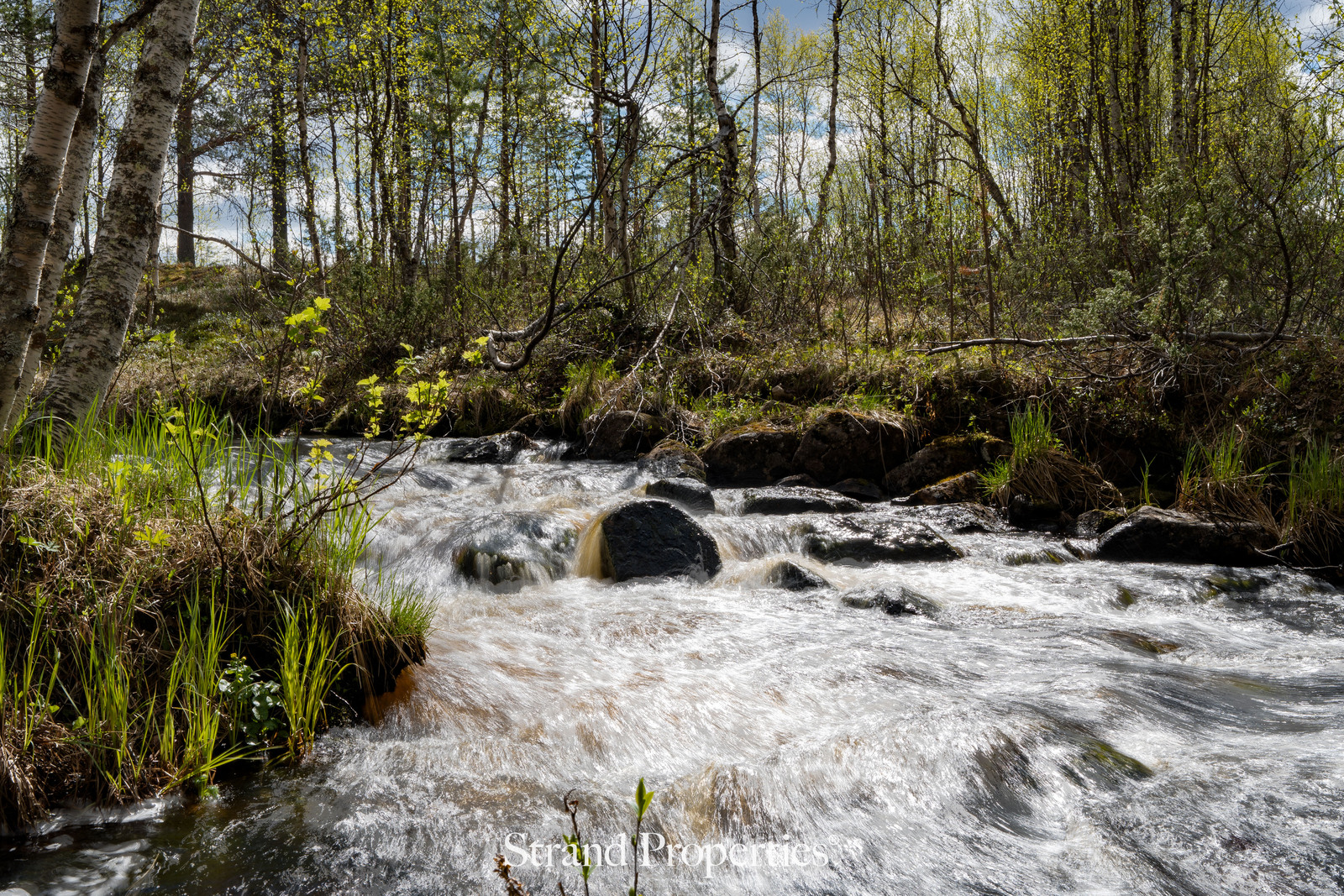 Image 23