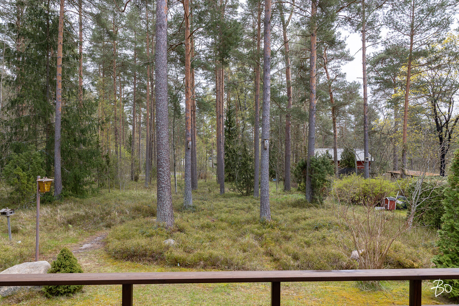 Harmaalokkikuja 3 D - kuva 43