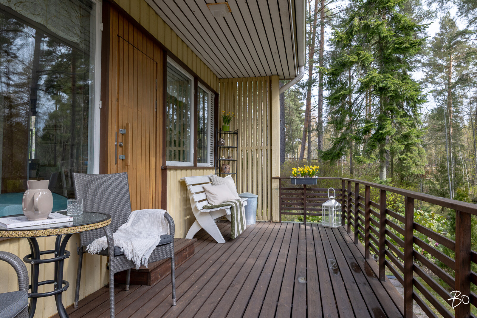 Harmaalokkikuja 3 D - kuva 47