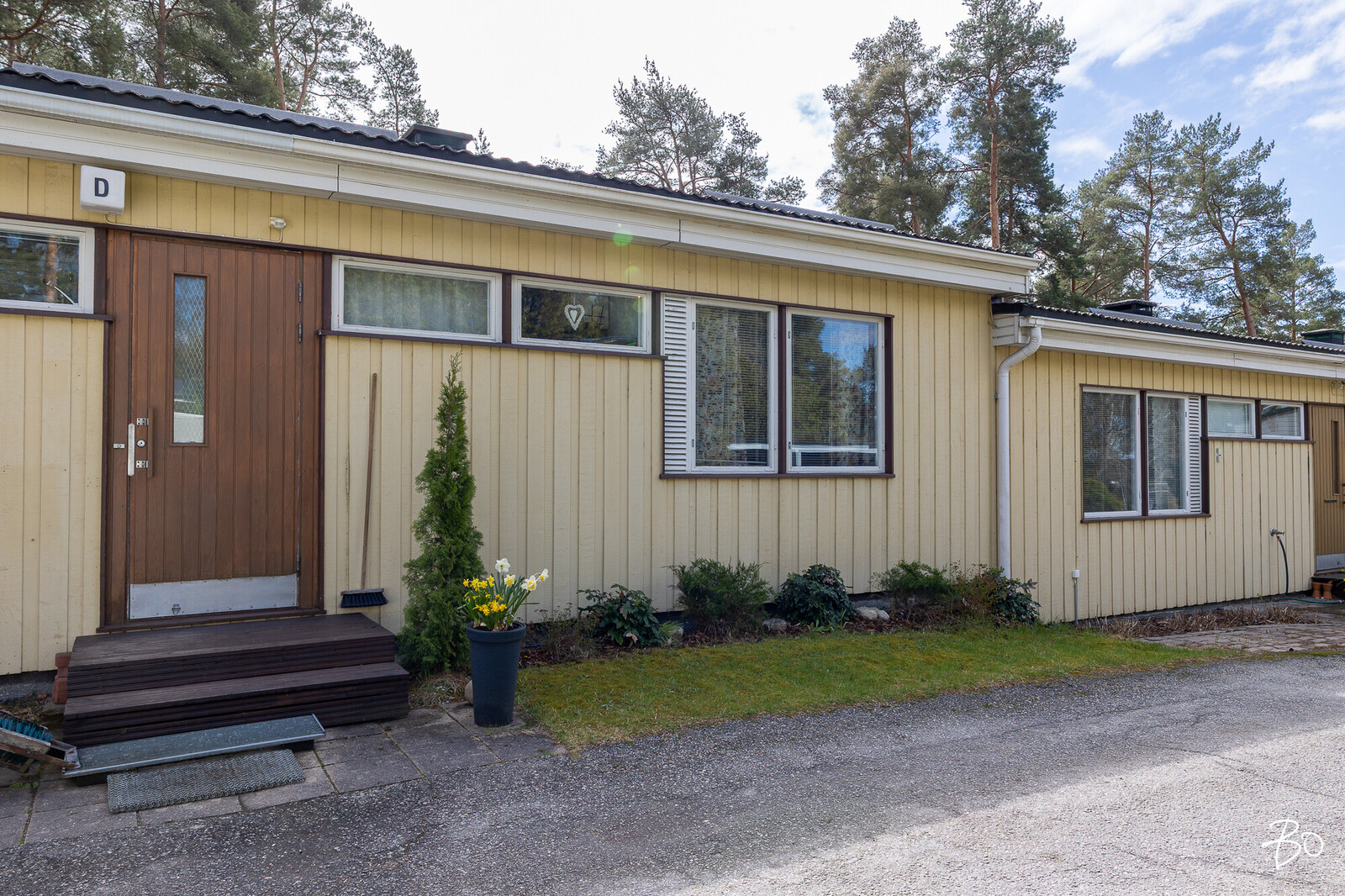 Harmaalokkikuja 3 D - kuva 3