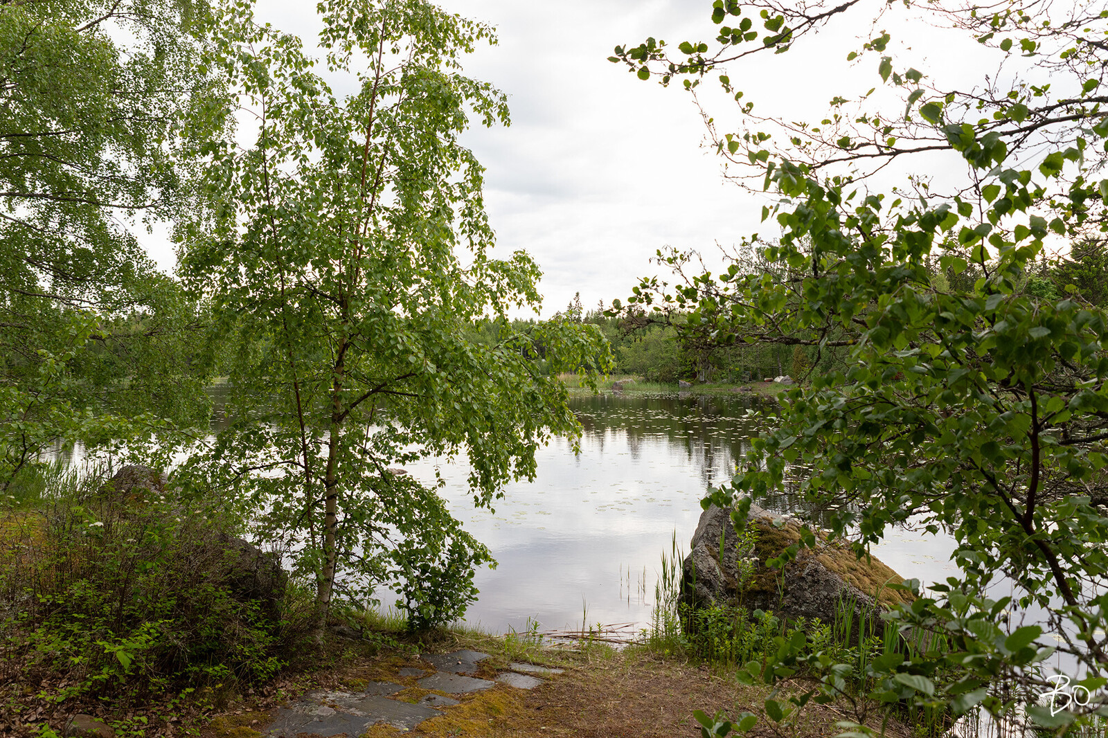 Tuomikari saari  - kuva 24