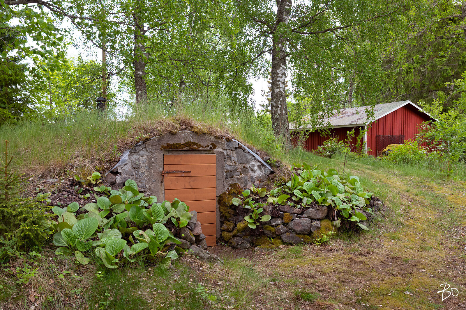 Tuomikari saari  - kuva 27