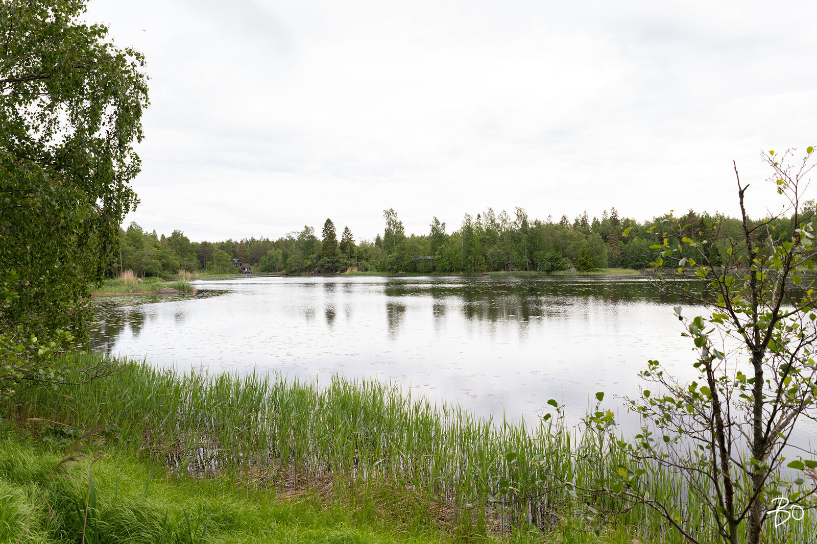 Tuomikari saari  - kuva 29