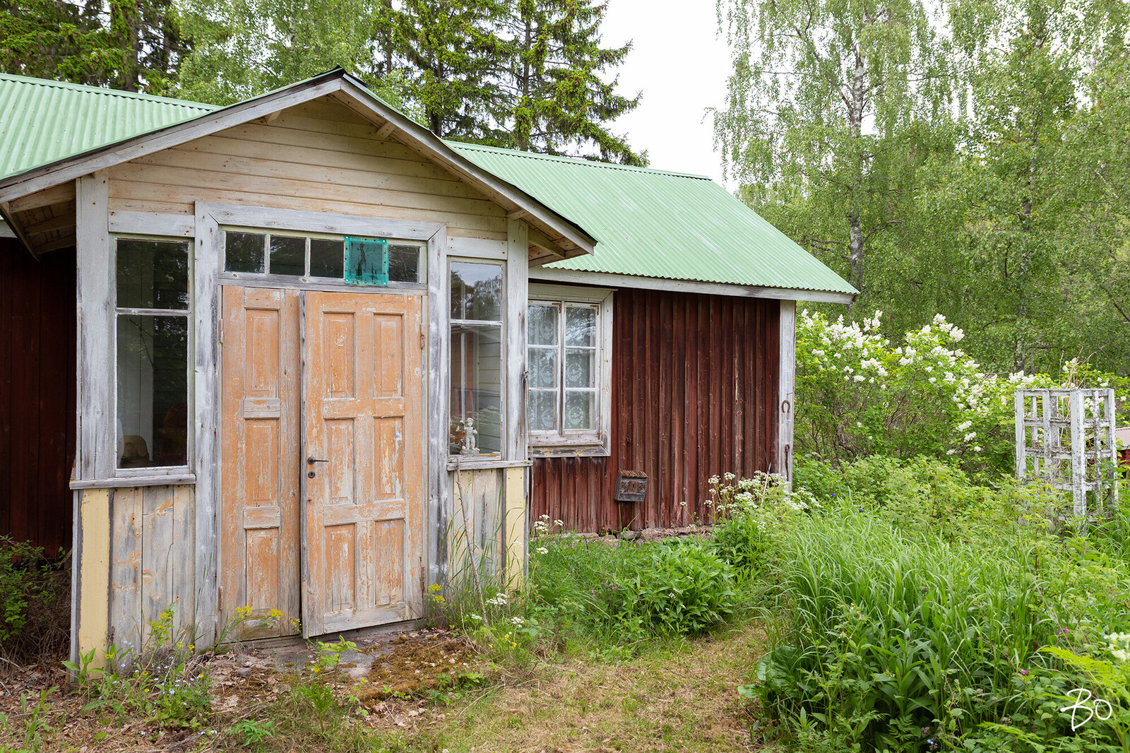 Tuomikari saari  - kuva 35