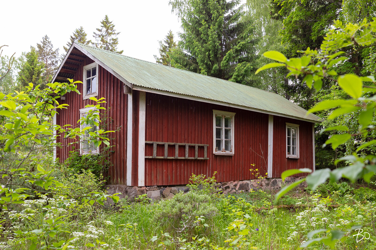 Tuomikari saari  - kuva 36