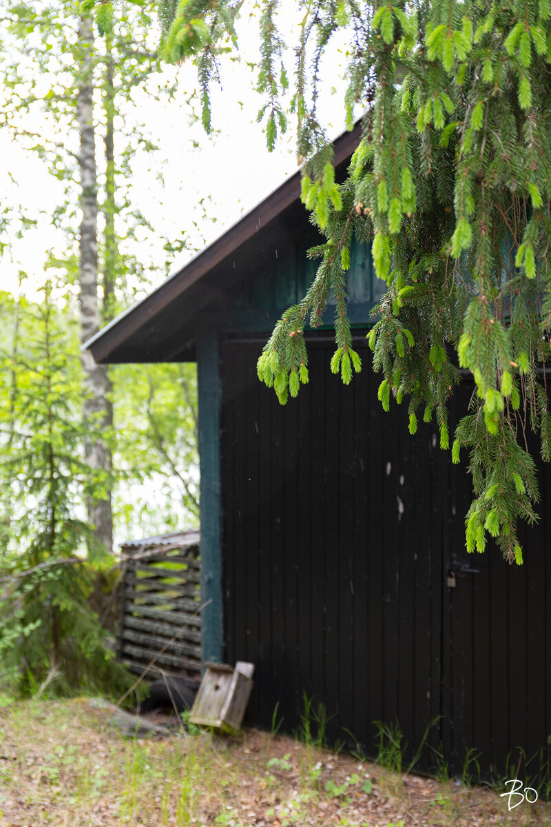 Tuomikari saari  - kuva 37