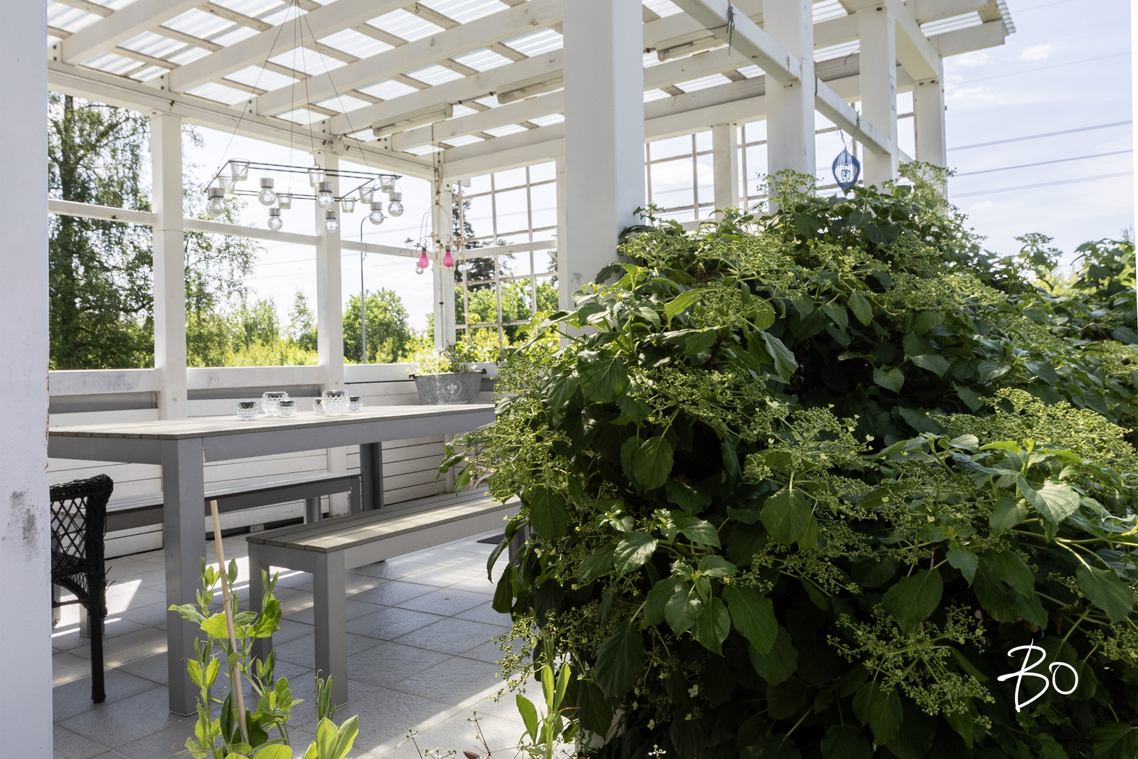 Tuomolankatu 44  - kuva 22