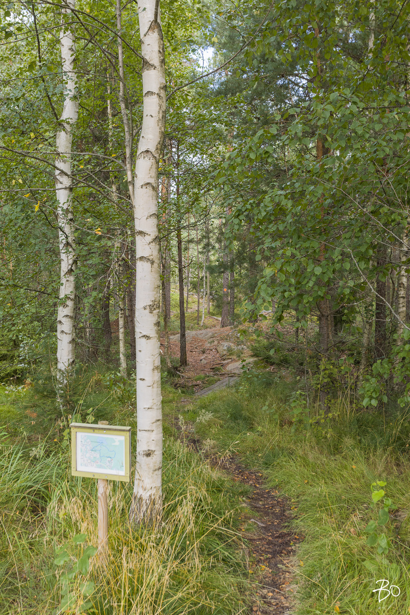 Otavankuja 5 - kuva 49