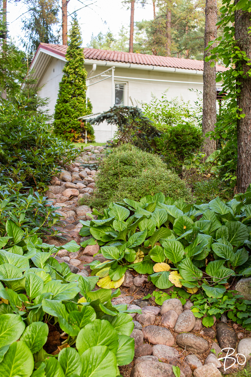 Kyntelitie 16 - kuva 34